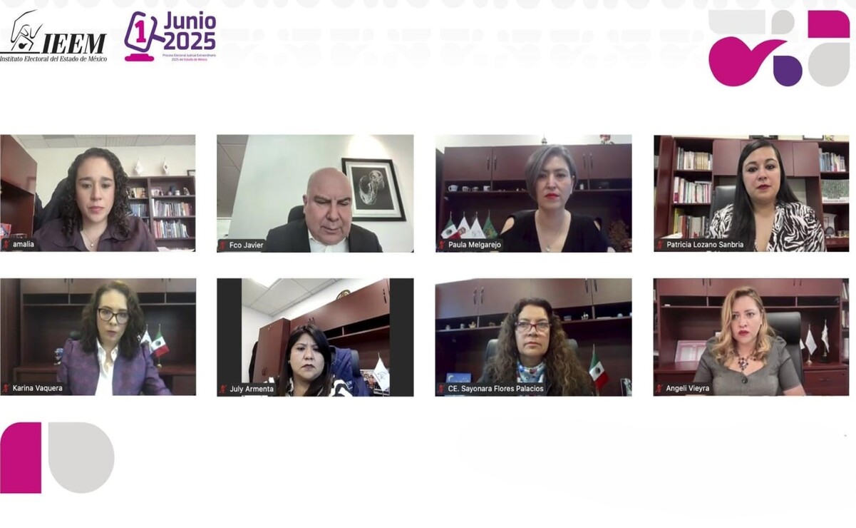 Amalia Pulido Gómez refirió que los foros que realice el IEEM ofrecerán un mecanismo controlado, transparente y profesional. Foto: Especial