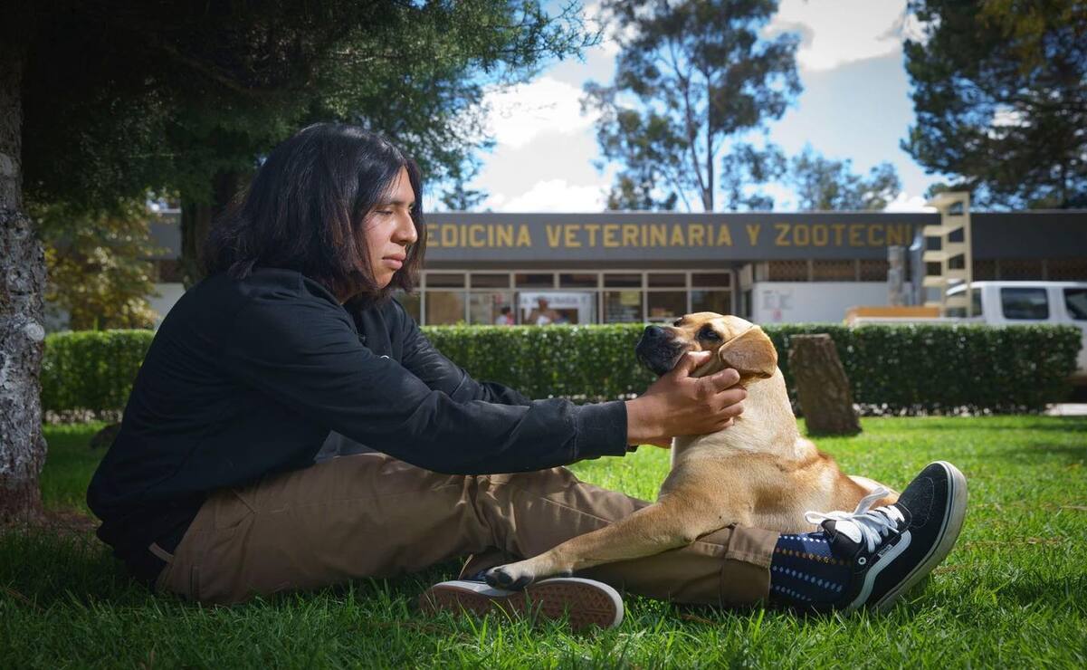 Facultad de Veterinaria de la UAEMéx denuncia envenenamiento de perros dentro del campus "El Cerrillo"