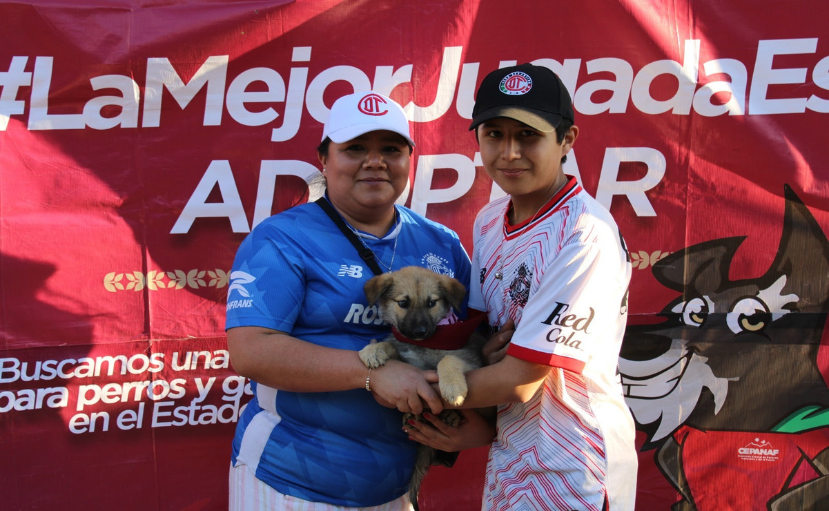 300 animales de compañía han encontrado un hogar responsable en el Estado de México desde octubre de 2023. Foto: Especial