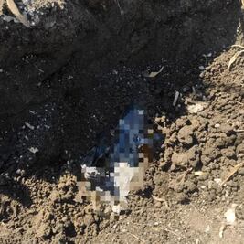 Cuerpos encontrados en Tianguistenco son de dos hombres y una mujer: Fiscalía 