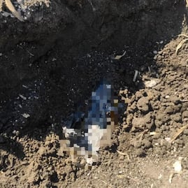 Conmoción en Tianguistenco: Descubren fosa clandestina cerca de la UAEMéx