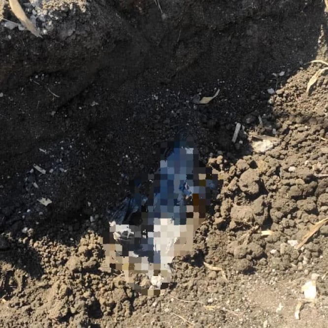 Debido al estado de los restos fue imposible determinar el sexo de la víctima. Foto Especial