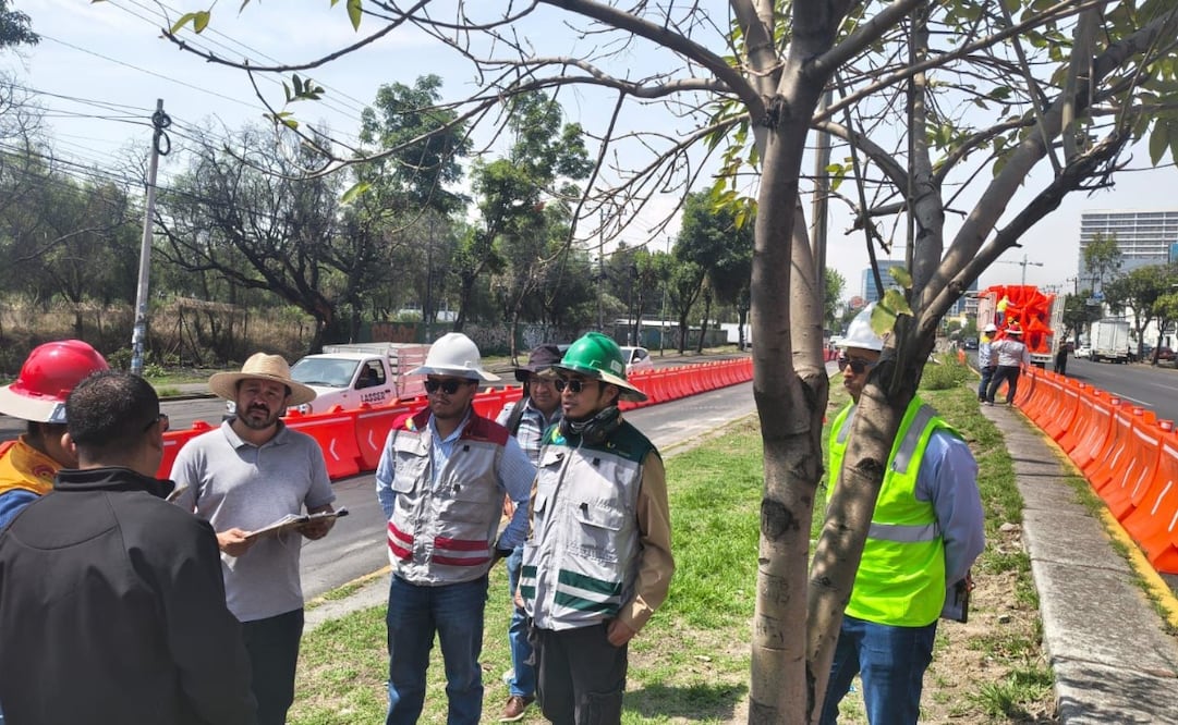 La línea V del Mexibús comenzó a construirse el pasado jueves 21 de mayo. Foto. Especial