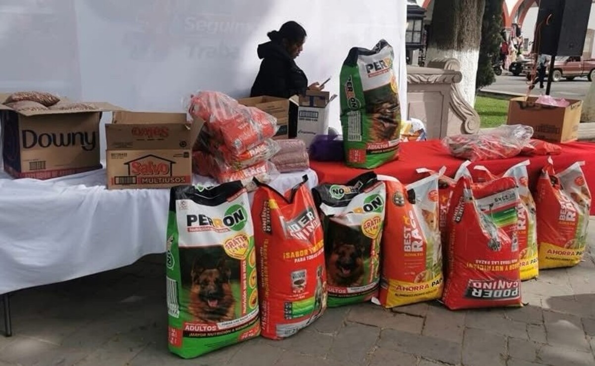 Esperanza para los lomitos: Croqueton con Causa para animales callejeros en Temascalcingo