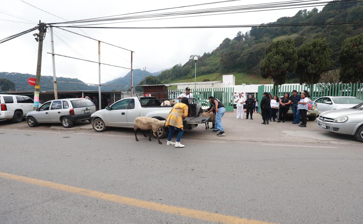 Los bienes dispuestos fueron asegurados dentro de los despliegues de la Operación “Liberación” / Foto Alejandro Vargas