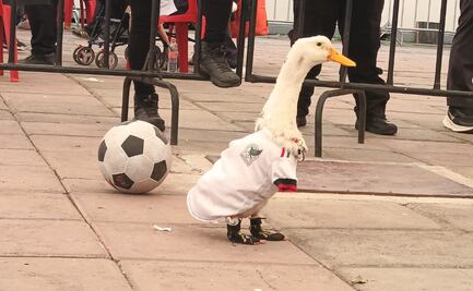 El Pato Merlín, embajador del Mundial 2026, enamora a Naucalpan con sus goles en el Parque Naucalli