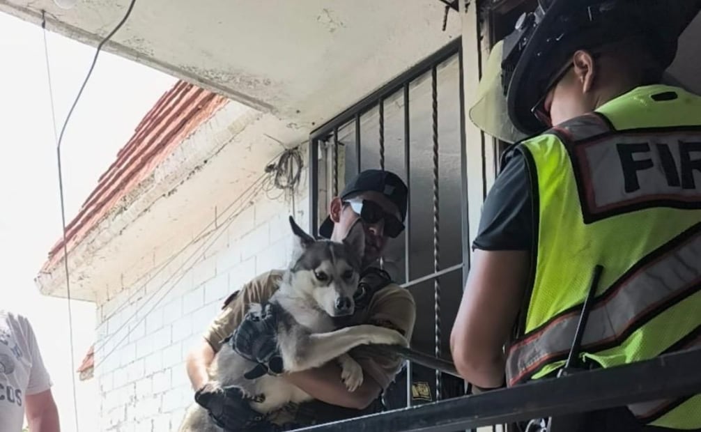 Además del rescate de la adulta mayor, las autoridades resguardaron a dos perros que se encontraban amarrados y sin alimento. Foto Especial