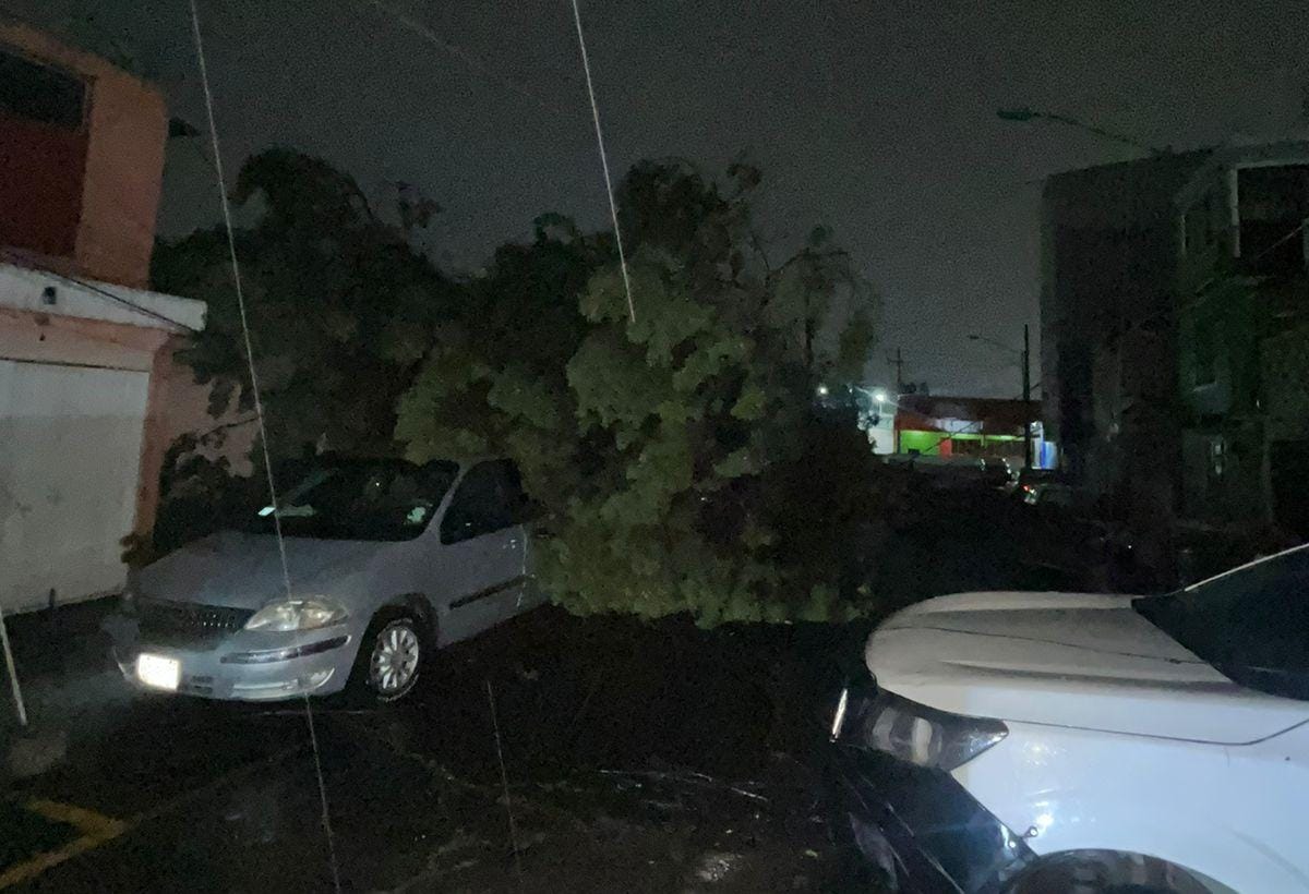 Árboles se desploman sobre vehículos en Toluca