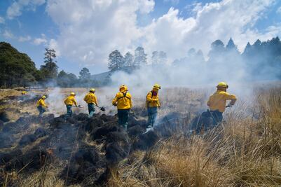 Declara Probosque alerta máxima por incendios forestales en Edomex