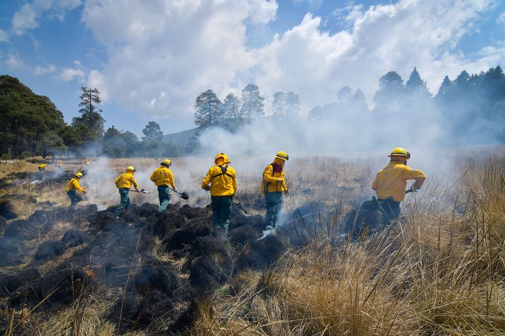 Los municipios con más incendios fueron Ocuilan con 102, Nicolás Romero con 70 y Villa del Carbón con 69. Foto Especial