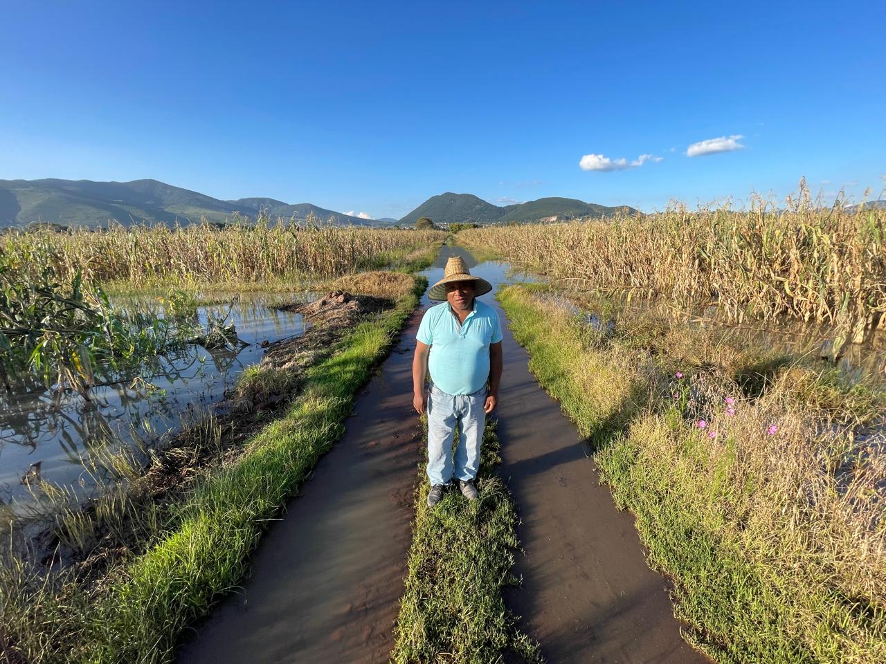 Los productores agrícolas afectados hicieron un llamado urgente a las autoridades para que las soluciones. Foto: Especial