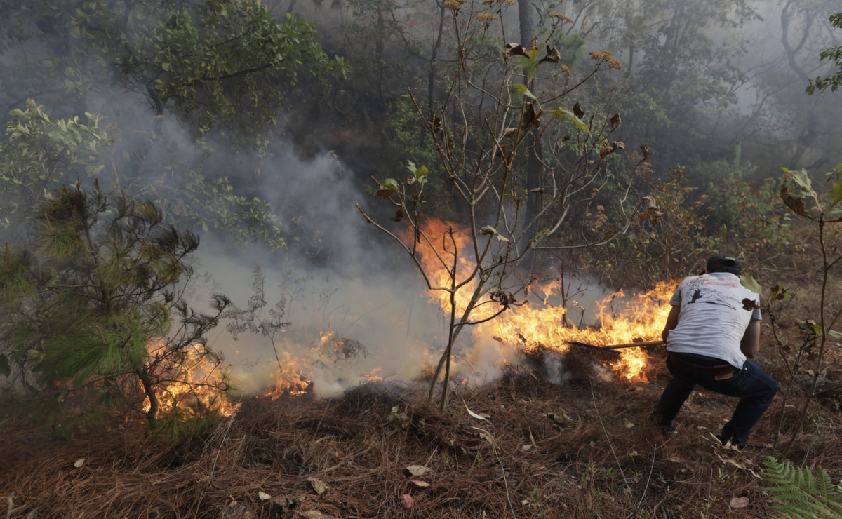 Probosque prevé incendios forestales por las condiciones climáticas de sequedad. Foto: Jorge Alvarado