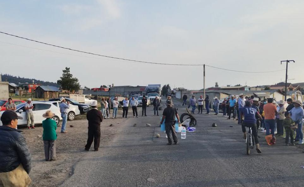 Talamontes sin freno: el retiro de la policía estatal ha permitido que la tala desmedida arrase los bosques de Ocuilan. La comunidad exige acción inmediata. Foto: Especial