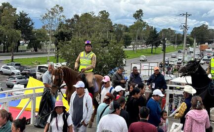 Refuerzan seguridad en el mercado de Palmillas en Toluca con patrullajes