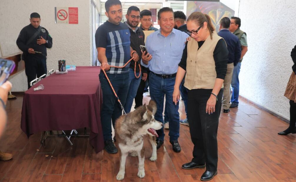 Expertos de la UNAM colaboran en la jornada para evitar la reproducción exponencial de animales sin hogar. Foto Especial