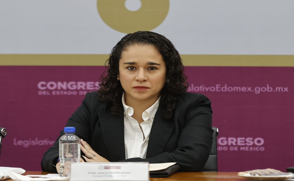 La consejera presidenta del IEEM, Amalia Pulido Gómez indicó que hasta el momento se han recibido 2 denuncias por actos anticipados de campaña. Foto: Especial