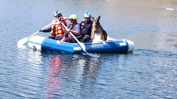 Bomberos realizan rescate vertical para salvar a un perrito en la Presa Madín
