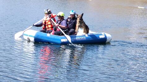 Bomberos realizan rescate vertical para salvar a un perrito en la Presa Madín