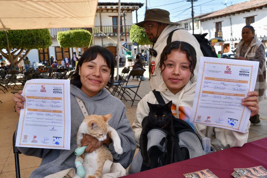 El gobierno busca brindar no solo bienestar animal, sino también identificar casos de abandono, vincular responsabilidades legales y penales, generar políticas públicas basada en datos y construir una base de datos estatal confiables. Foto: especial