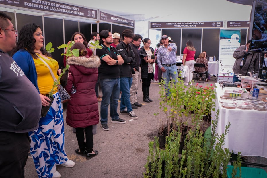Durante el encuentro se presentaron casos de éxito de empresas forestales comunitarias de Ixtlán de Juárez, Oaxaca, y San Juan Nuevo Parangaricutiro, Michoacán. Foto especial