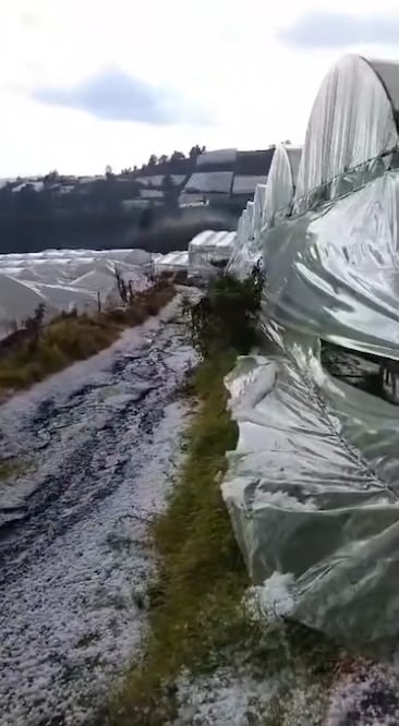 Esta situación provocó que también bajará la temperatura considerablemente en este municipio sureño. Foto: especial