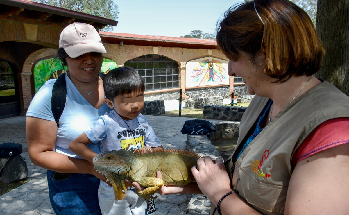 El Parque es el principal refugio de protección animal en el país, alberga a 880 animales de 171 especies. Foto: Especial