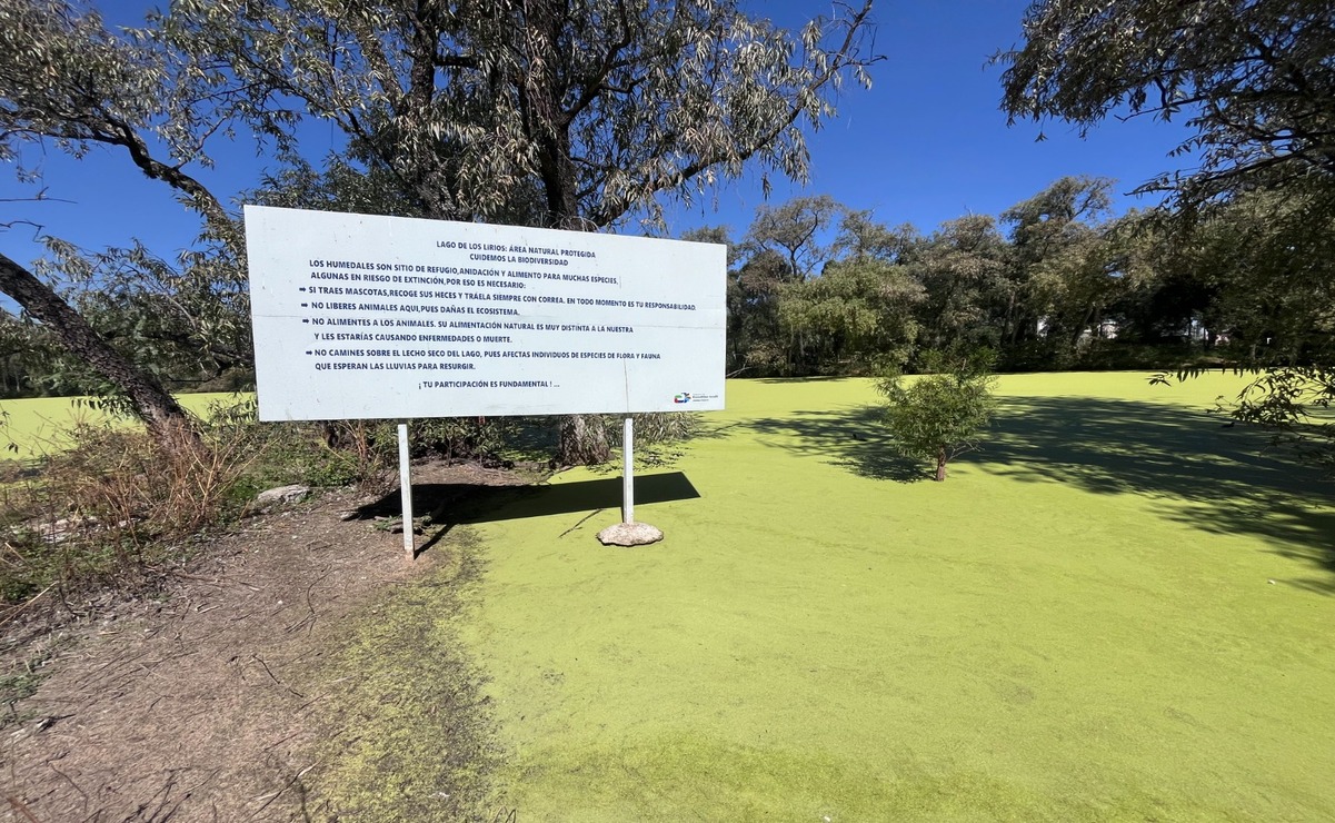 El gobierno municipal de Cuautitlán Izcalli lanzó una encuesta ciudadana para conocer la percepción sobre la importancia y las principales problemáticas del parque Espejo de los Lirios / Foto: Especial