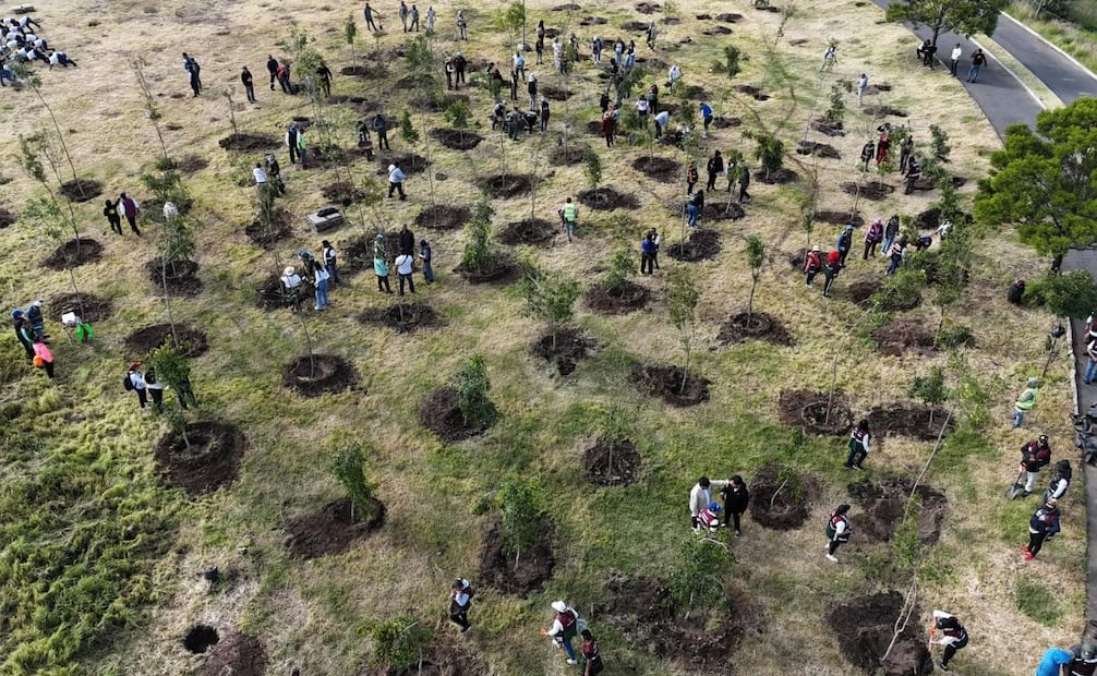 En Los Reyes La Paz se sembraron plantas y árboles en camellones y parques locales con apoyo de la ciudadanía y la Marina. Foto Especial