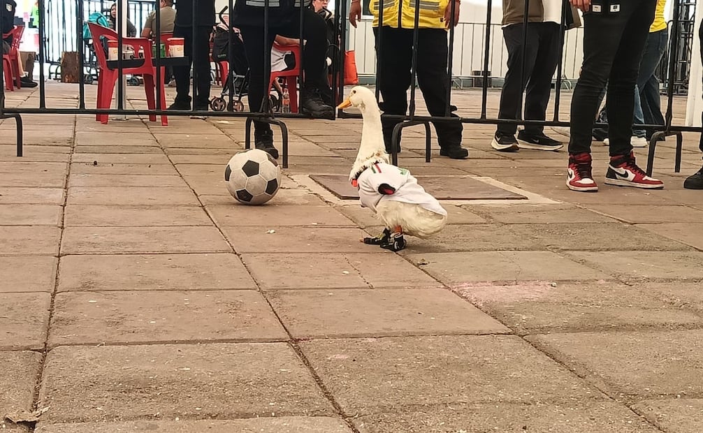 El Pato Merlín llegó al Parque Naucalli luciendo el jersey de la Selección Mexicana. Foto Especial