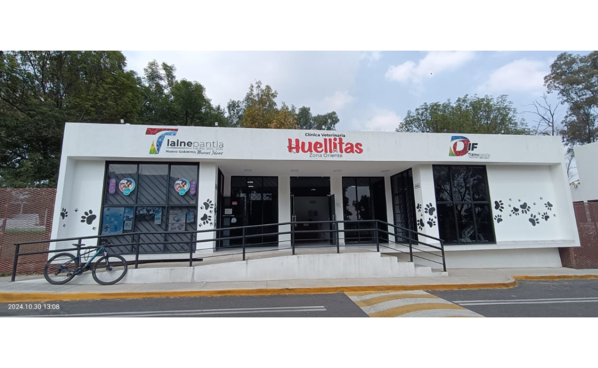 El perrito fue trasladarlo a una de las clínicas veterinarias de última generación llamadas “Huellitas” Foto: Especial