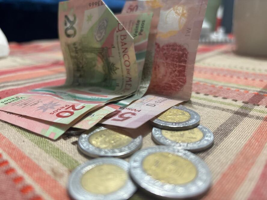 La presidenta de la República genera altas expectativas en el ámbito económico. Foto Especial