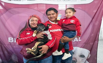 ¡Golazo de amor! 90 perritos encuentran un nuevo hogar gracias a Cepanaf y Toluca FC