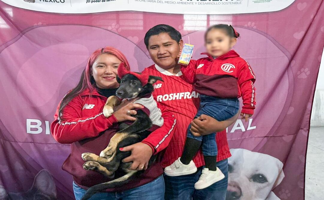 El programa "La Mejor Jugada es Adoptar", alcanzó las 90 adopciones de perritos en el Edomex. Foto: Especial
