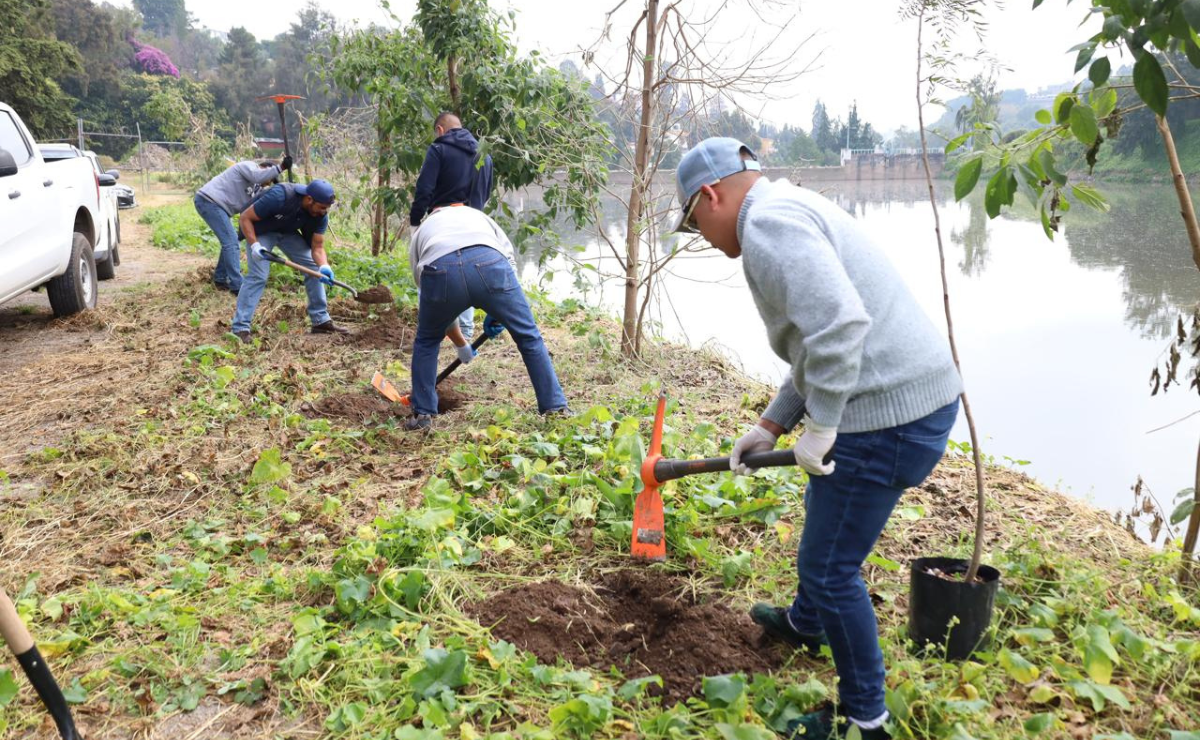Huixquilucan realizó dos jornadas de reforestación alrededor de este cuerpo de agua Foto: Especial