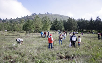 Reforestación histórica en Edomex: Impulsa un programa de restauración hidrológico-forestal