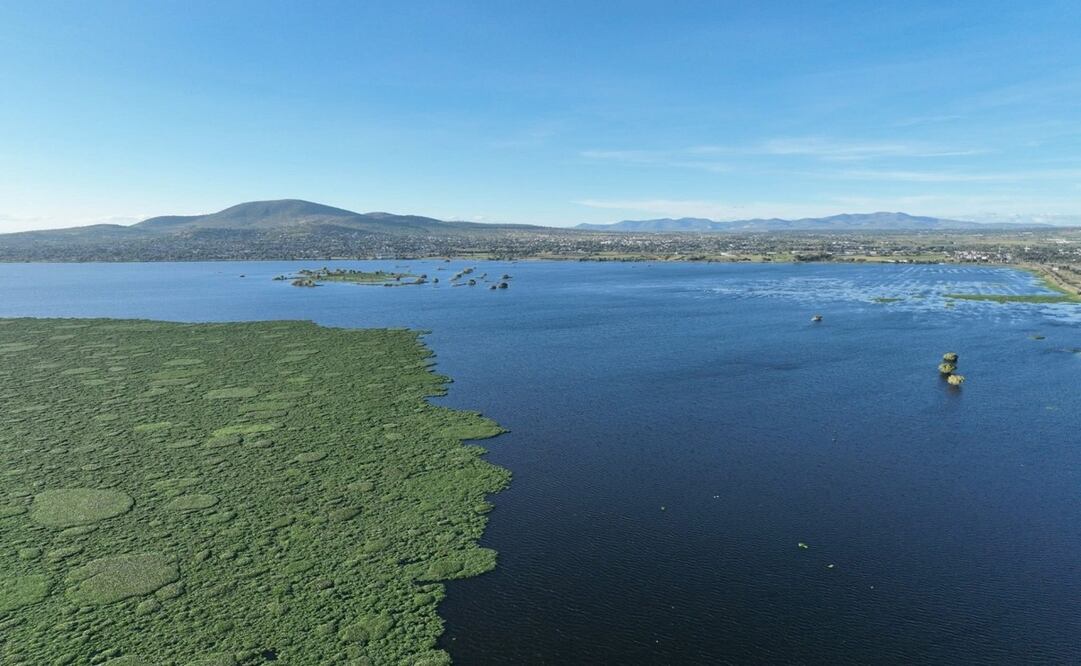 Laguna de Zumpango / Foto Especial