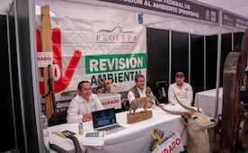 PROBOSQUE impulsa la innovación para aprovechar de forma sustentable los bosques