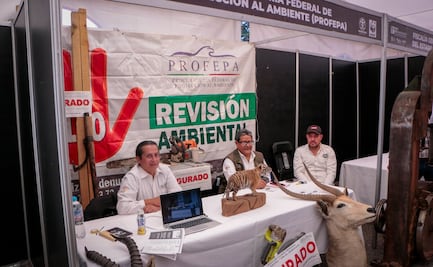 PROBOSQUE impulsa la innovación para aprovechar de forma sustentable los bosques