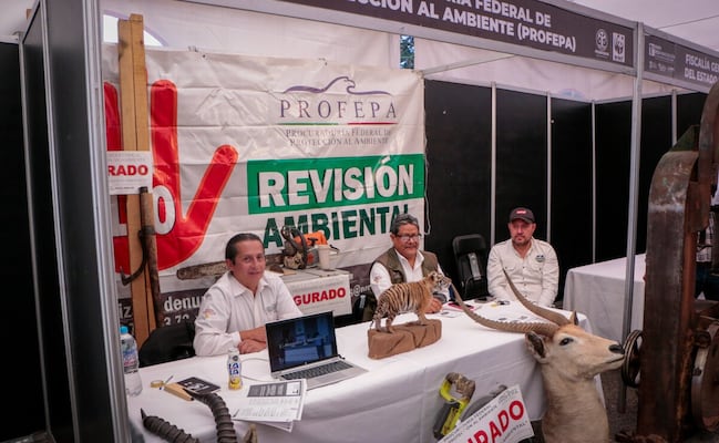 PROBOSQUE impulsa la innovación para aprovechar de forma sustentable los bosques