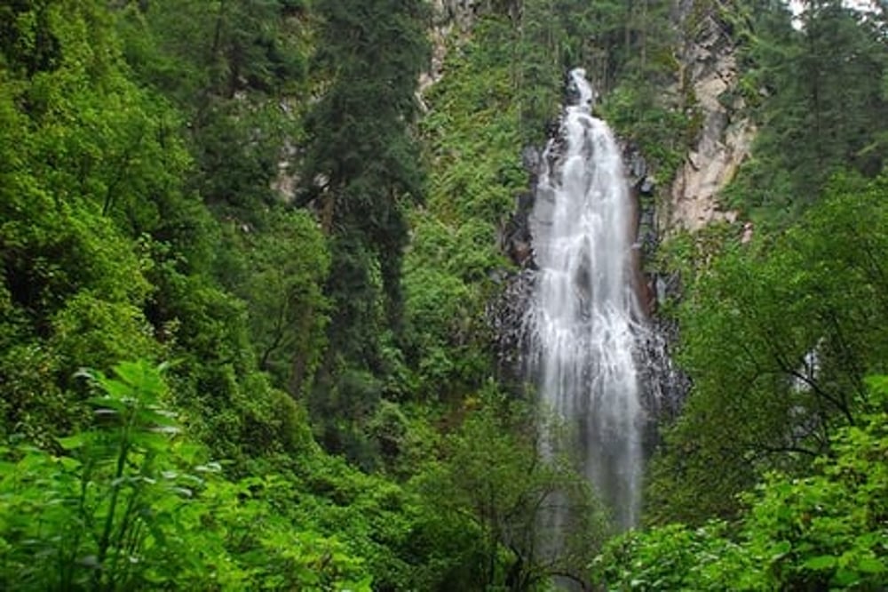 Este lugar es perfecto para quienes disfrutan de caminatas en la naturaleza y el contacto directo con el ecosistema. Además, los alrededores ofrecen varias rutas de ecoturismo que permiten explorar la flora y fauna locales. Foto Especial