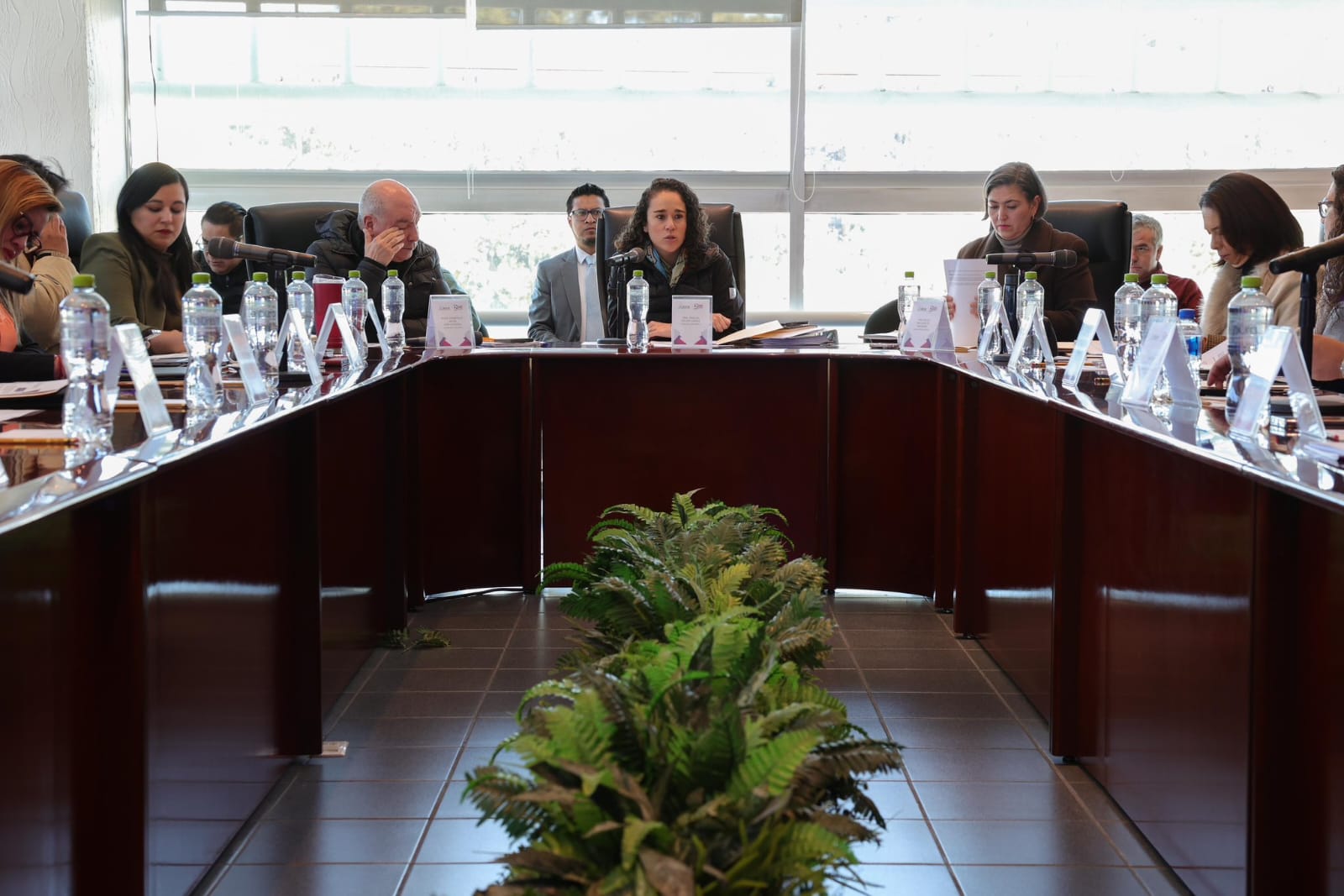 La consejera presidenta del IEEM, Amalia Pulido Gómez aseguró que dentro del Instituto se encuentran preparados. Foto Especial