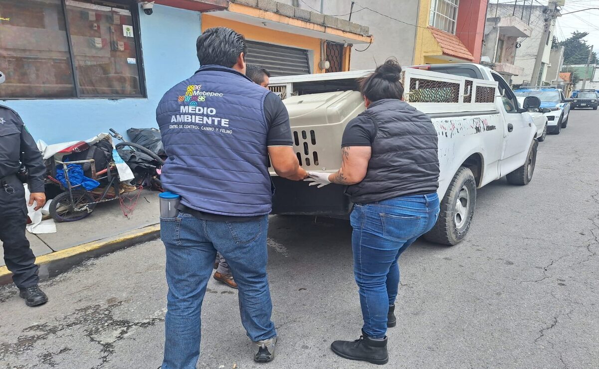 La Secretaría del Medio Ambiente acudió al lugar / Foto: Especial