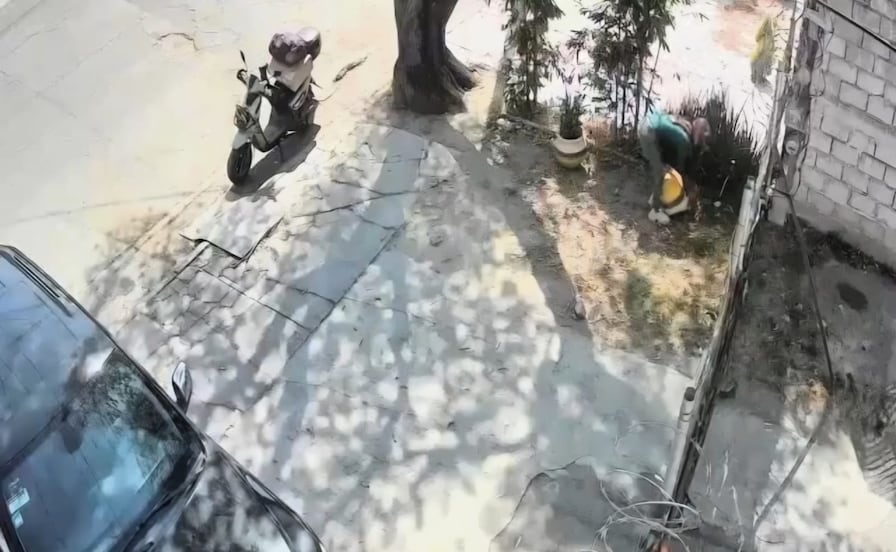 Video: ¡Hasta las macetas se roban en Cuautitlán Izcalli!