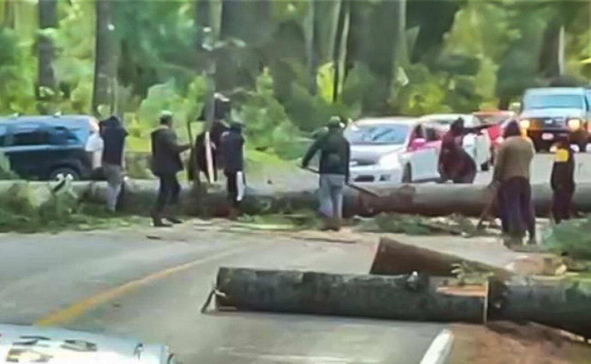 La presencia de camionetas con madera en rollo se pueden ver casi a diario / Foto: Especial