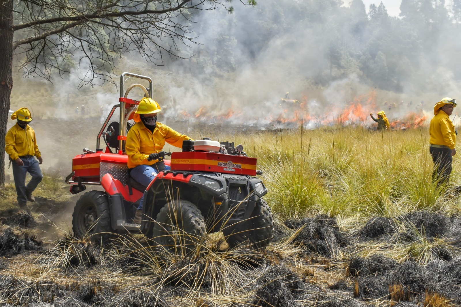 Especialista de la UAEMéx advierte sobre el aumento significativo de incendios forestales durante la temporada de estiaje / Foto: Especial