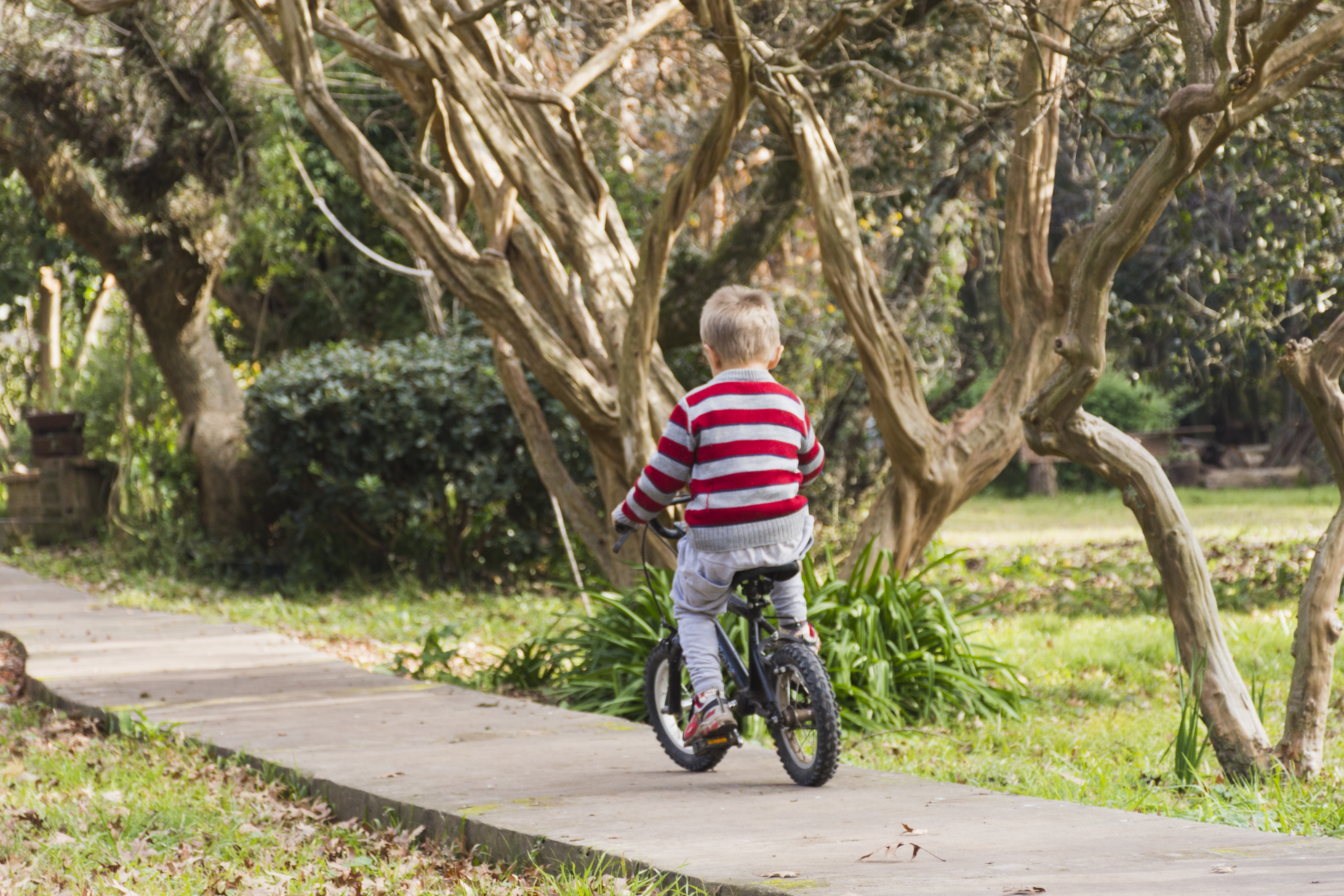 Los paseos ciclistas son una excelente opción para distraerse y hacer ejercicio. Foto Especial