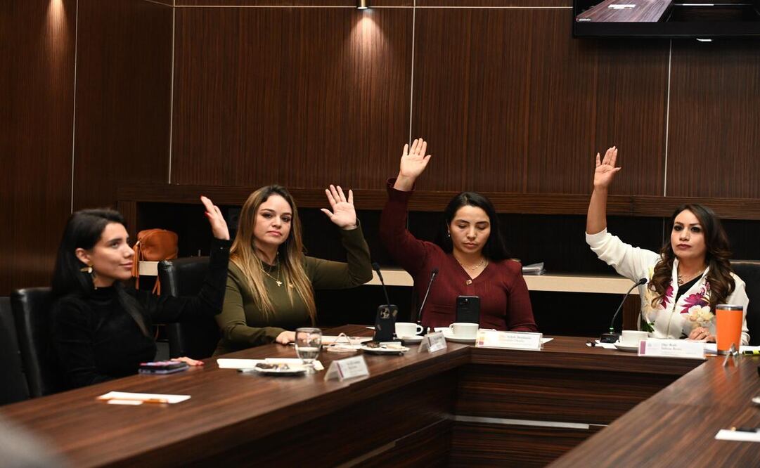 Comisión legislativa de Derechos Humanos / Foto Especial