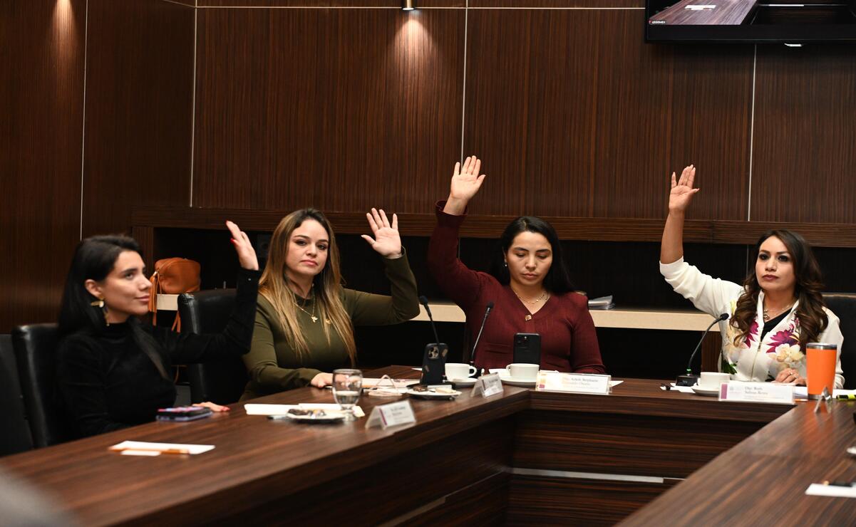 Terna definida para la CODHEM: Legisladores eligen a candidatos