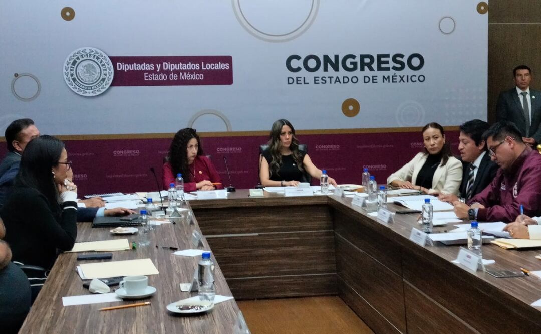 Foros regionales en Toluca: Un paso importante para frenar la deforestación. Foto: Alma Rodríguez