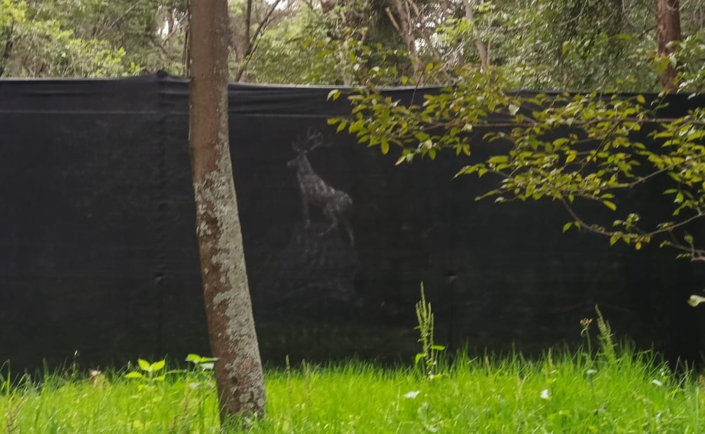 La zona destinada para el espectáculo en el Parque Naucalli permanece delimitada con malla negra y maquinaria de montaje. Foto Gisela González / El Universal
